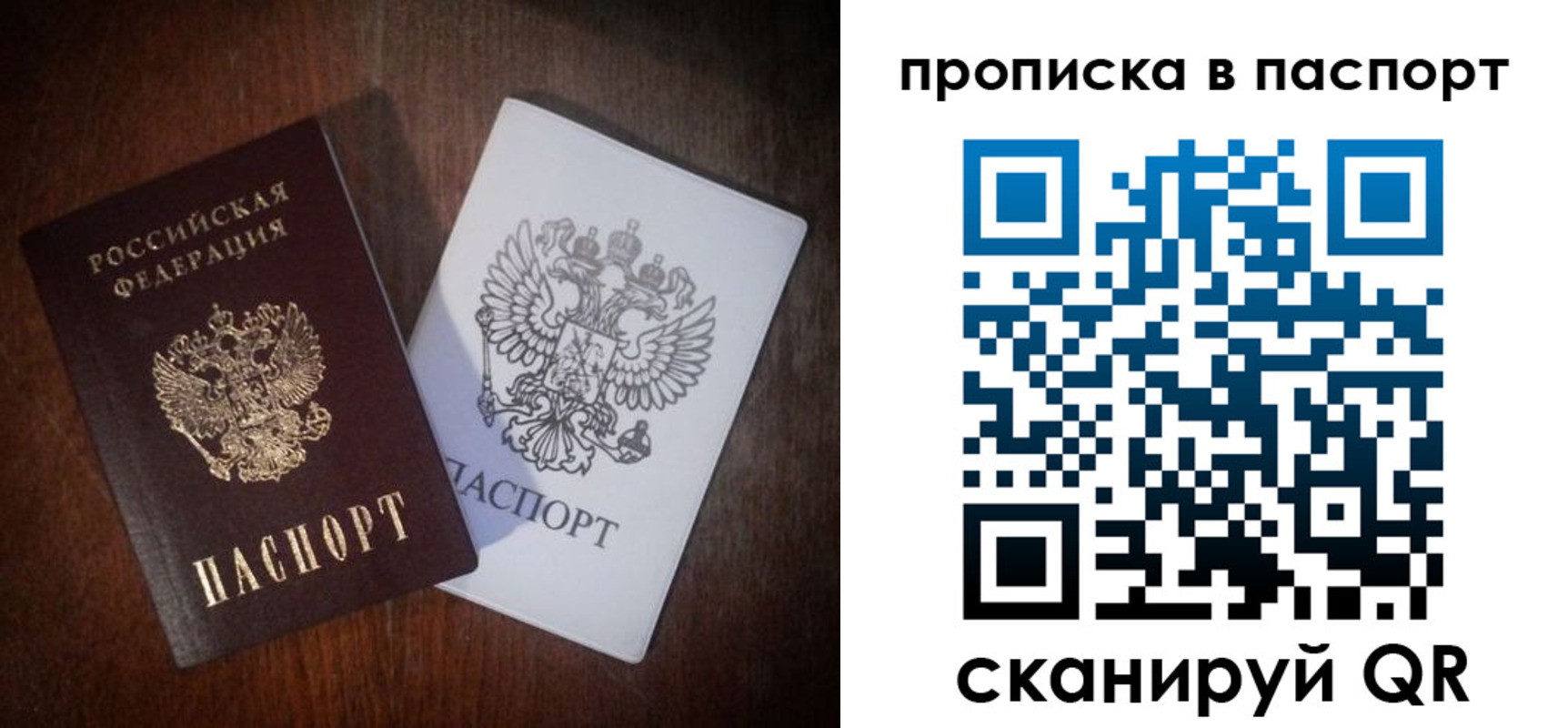 прописка регистрация в Светлогорске